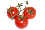 AgriStock Images Logo
